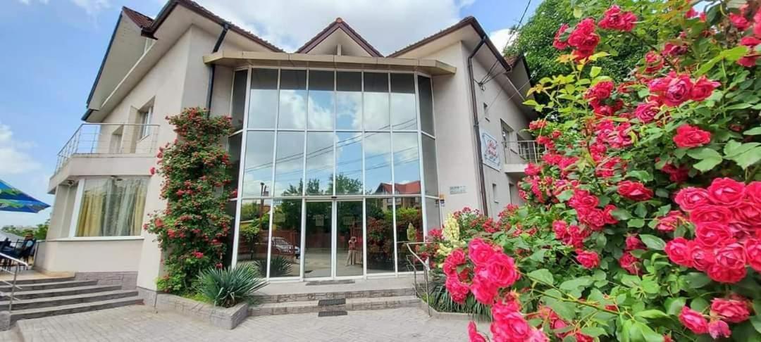 Villa Grande Iasi Luaran gambar